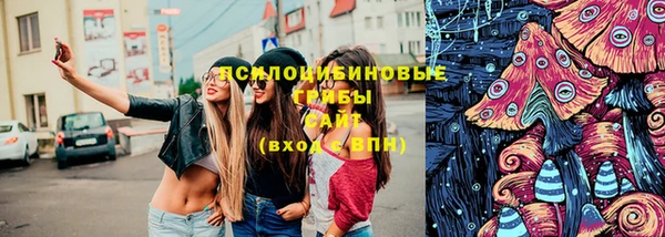 спиды Костерёво